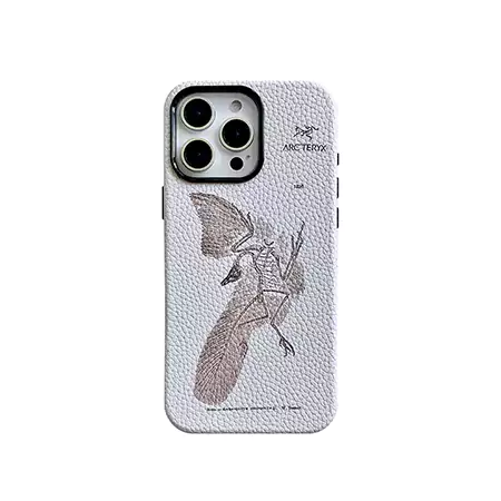 iphone17ハイブランド アイフォン 16プラス カバー  ソフトゴーム